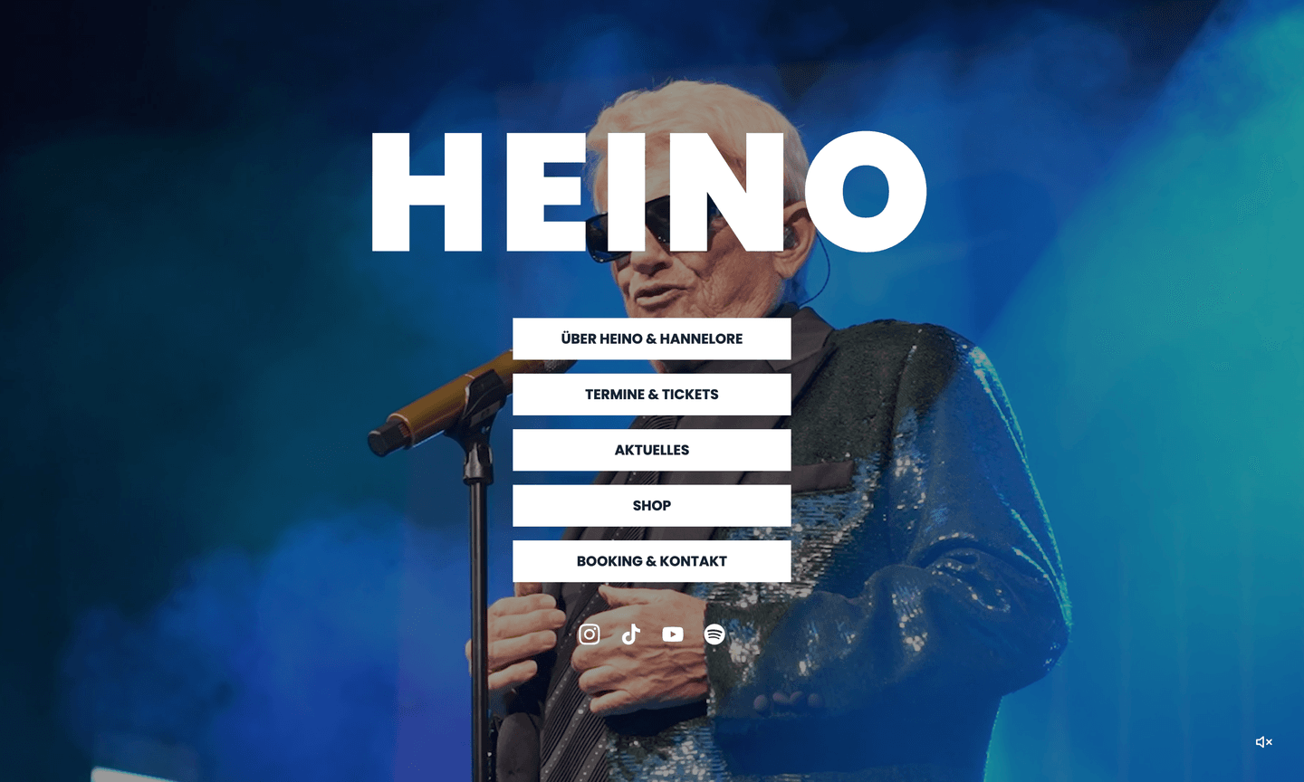 Website and Online Shop for Heino